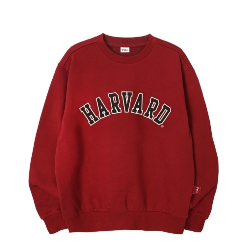 Harvard arch logo sweatshirt._PA5TSU805RD