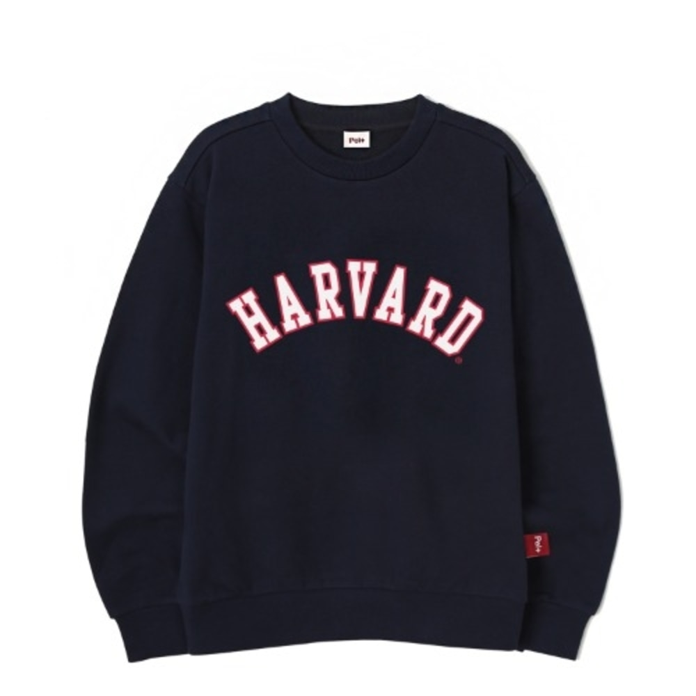 Harvard arch logo sweatshirt._PA5TSU805NA